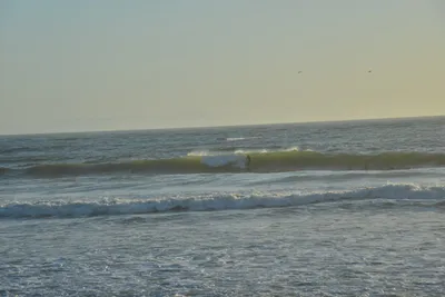 DSC_7271 (Large).JPG